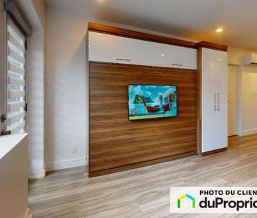 1150, Marie-Anne, Le Plateau-Mont-Royal à louer - Photo 4