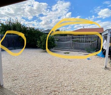 Kings Park - Photo 4