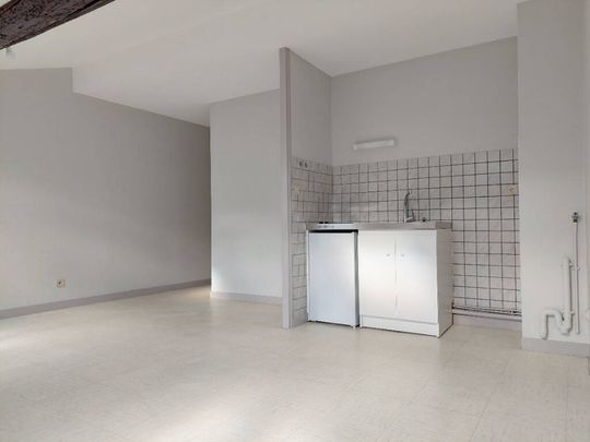 Location appartement 2 pièces 47.25 m² à Mâcon (71000) CENTRE VILLE - Photo 1