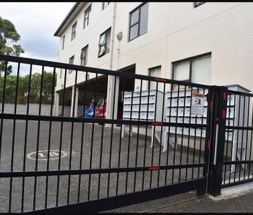 1 bedroom apartment with secure carpark - Photo 3