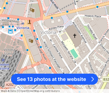 Carlisle Place, Westminster, London, SW1P - Photo 1