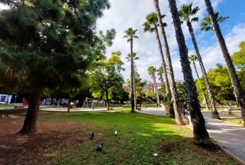 Apartamento 2 dormitorios con piscina al lado del mar