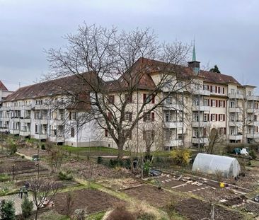 3 Zimmer Wohnung im Lindenhof! - Photo 2