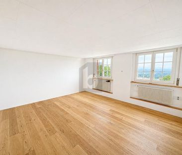GRÜNE OASE MIT PANORAMABLICK + FRISCH RENOVIERT - Photo 1