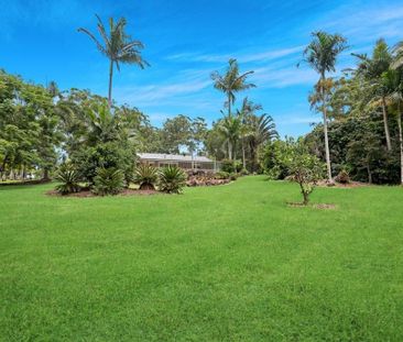 Low-Set Acreage Home with Pool and Shed - Photo 4