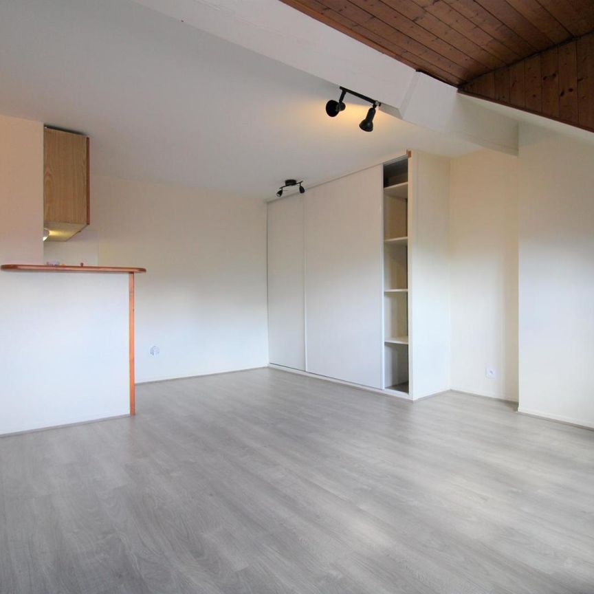 Location Appartement 1 pièce 25m² GRENOBLE 38000 - Photo 1