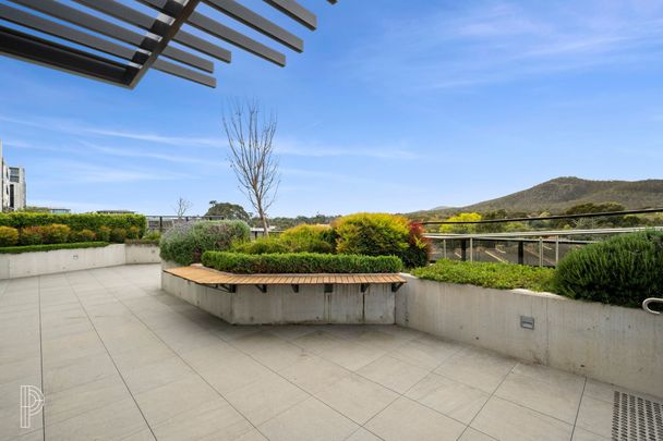 108/83 Cooyong Street, Reid ACT 2612 - Apartment For Rent | Domain - Photo 1