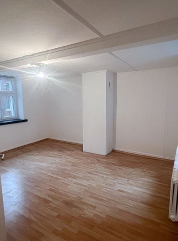 Frisch sanierte Wohnung in Steckborn - Foto 2
