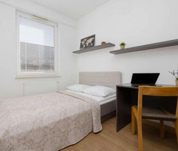 Warszawa, Praga-Północ, Wileńska - Zdjęcie 6