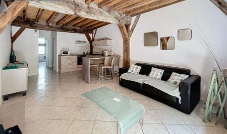 Location Appartement 2 pièces 49m² TROYES 10000 - Photo 5