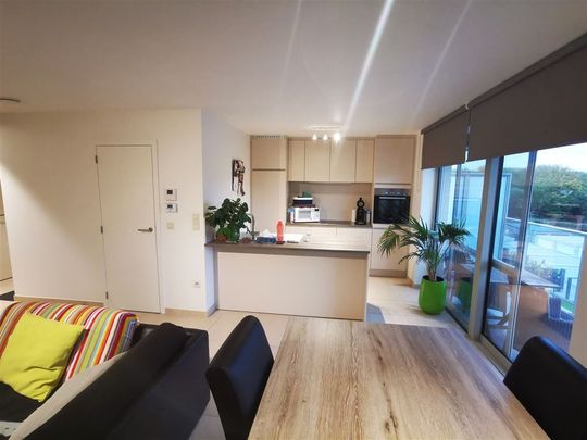 Appartement te huur in Denderwindeke - Photo 1