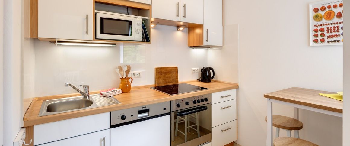 Central, spacious 1-room apartment for rent - Foto 1