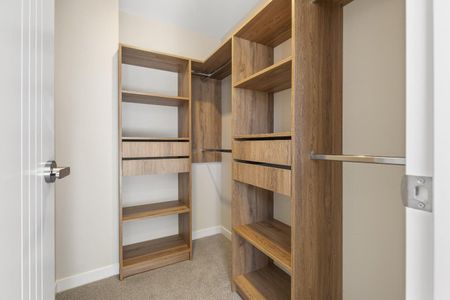 Brand new family home in One Tree Hill - Photo 3