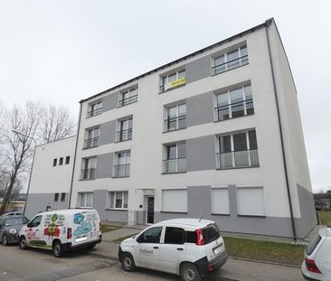 Gdynia Leszczynki, Jana Dantyszka - Zdjęcie 4