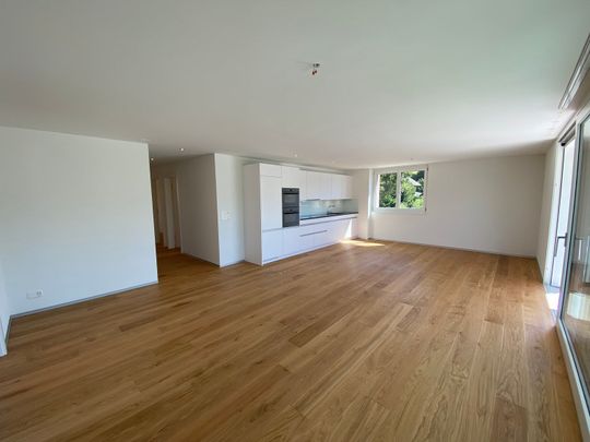 5.5 Zimmer, 121 m² - Photo 1