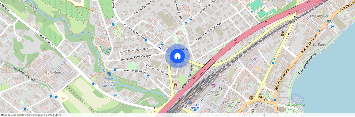 Jean-Jacques Cart 7, 1110 Morges