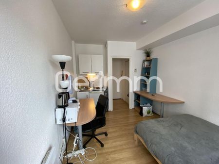 Location Appartement 1 pièce 15m² GRENOBLE 38000 - Photo 5