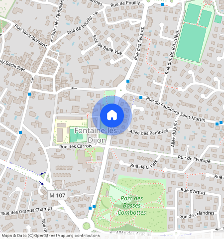 FONTAINE LES DIJON (21121)