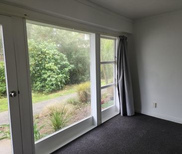 Petone Living - Photo 5