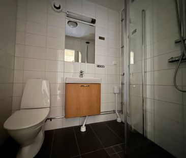 Alidebergsgatan 17- 3 rok (1101) - Photo 6