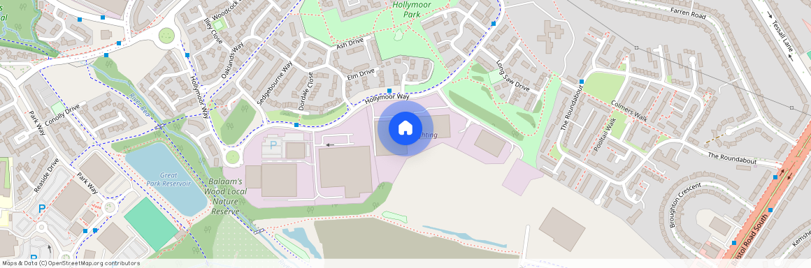 Hollymoor Way, Northfield, B31