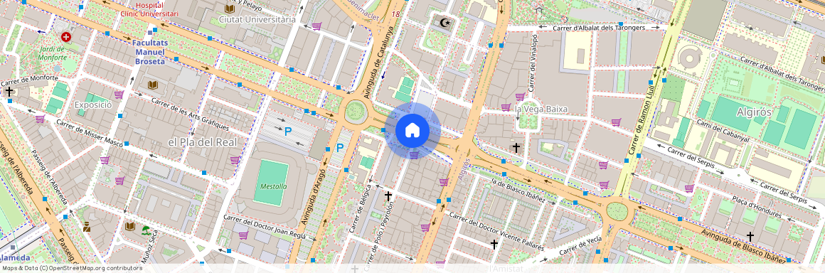 Avinguda de Blasco Ibáñez, Valencia, Valencian Community 46021