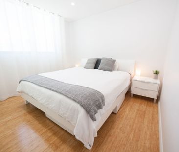 Nicely presented 1-bedroom in Shores - Furnished - Photo 4