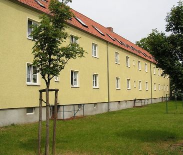 Single-Wohnung mit Badewanne, Küche und Bad mit Fenster - Photo 1