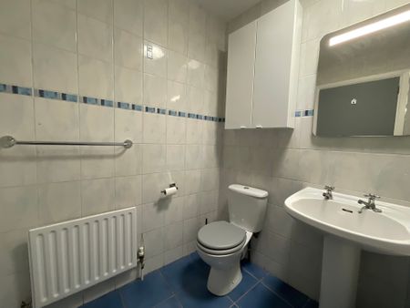 49 Cromwell Court, Belfast, BT7 1NE - Photo 5