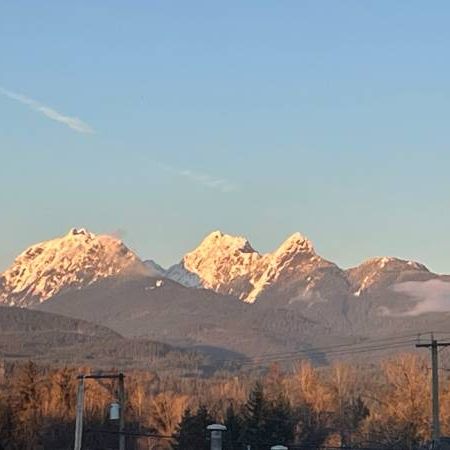 3 bed, 2 bath, view of Golden Ears Mountains - Photo 1