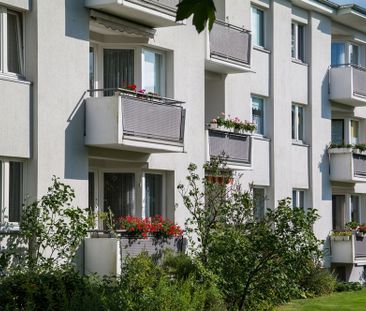 Helle 3-Zimmer-Wohnung mit Balkon und modernem Designboden im Eiche... - Photo 6