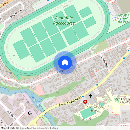 67A Wingate Street, Avondale, Auckland City