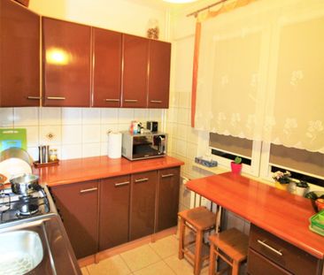 Rzeszów, mieszkanie na wynajem, Rejtana - Photo 4