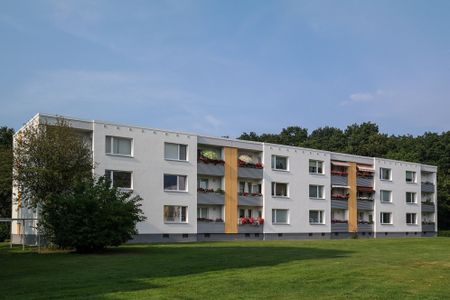 Wird exklusiv modernisiert: Erdgeschoss-Wohnung in Detmerode - Foto 5