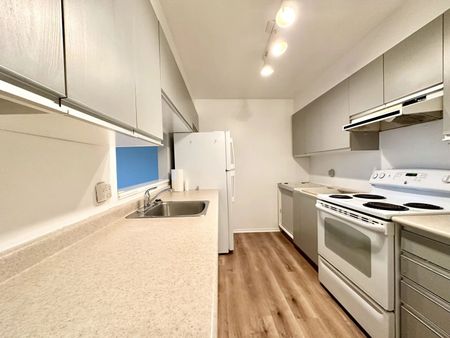 For Lease - 280 Brittany Drive Unit# 306, Manor Park - Cardinal Glen and Area, Ontario - Photo 3