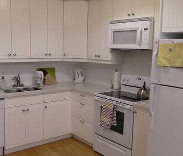 Large One Bedroom Apartment near High Park - Photo 2