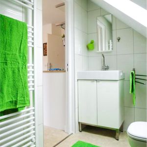 Location Appartement 1 pièce 17m² STRASBOURG 67100 - Photo 3
