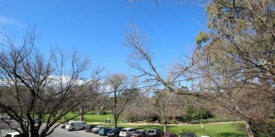 SPACIOUS UNFURNISHED ONE BEDROOM UNIT! - Photo 3