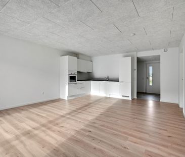 Velkommen til Holing Engpark! - Foto 4