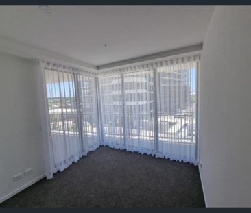 Modern Apartment Overlooking Resort-Style Pool! - Photo 5