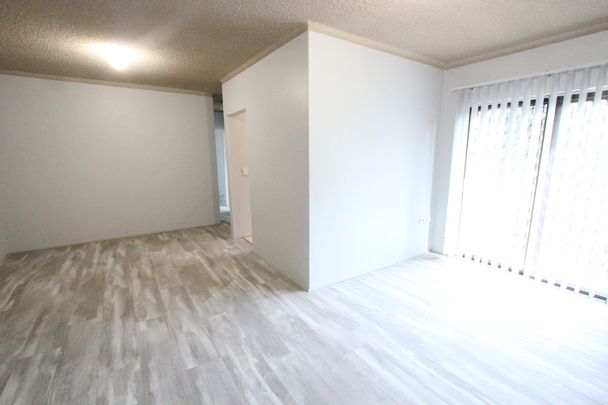 Immaculate 1st Floor Apartment Close to All Amenities - Photo 1