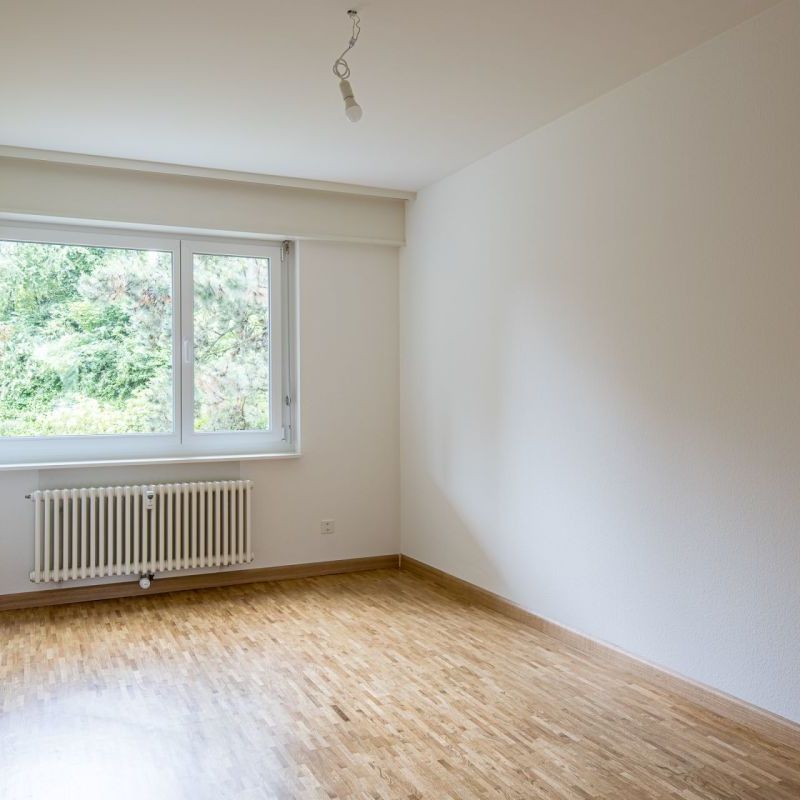 Nähe Gartenbad Aesch - schöne 4 1/2-Zimmerwohnung mit Gartensitzplatz - Photo 1