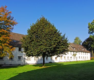 Das hat sich gewaschen,- neues Wannenbad inklusive im Erdgeschoss 2... - Photo 4