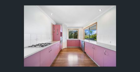 Elevated spot for the family to enjoy - Photo 4