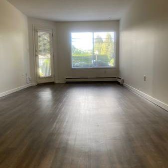 Centrally Located at Katharine Apartments - Photo 1