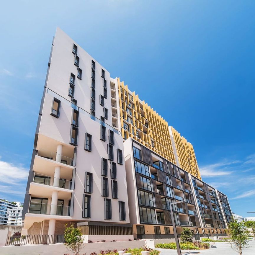 2 Bedroom + Study - Photo 1