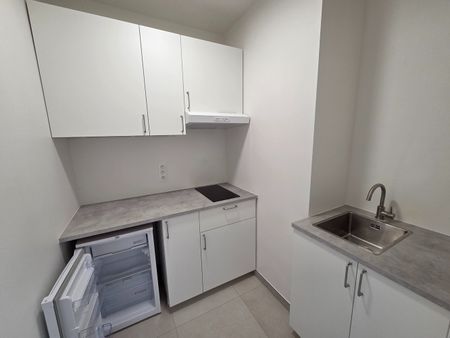 Charmante en recent gerenoveerde studio met slaaphoek en terras. - Foto 4