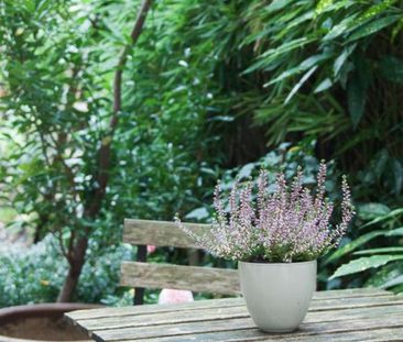 Bonn-Südstadt möbliertes Zimmer mit Garten - Photo 5