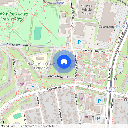 Stare Winogrady, Osiedle Przyjaźni, Winogrady, Poznań