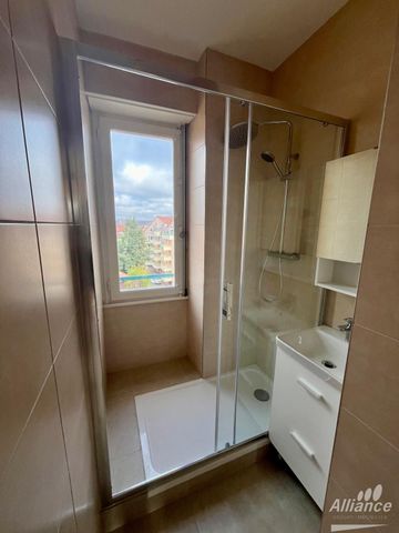 Location Appartement 4 pièces 84m² BELFORT 90000 - Photo 4